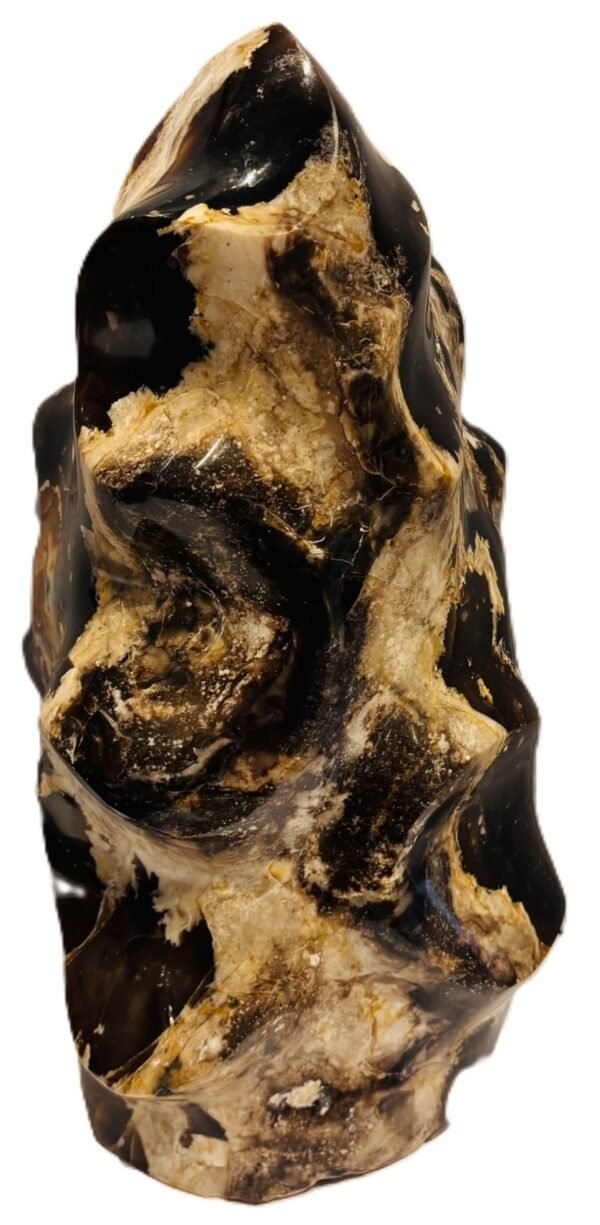 Carved black opal flame specimen sians emporium Polished black opal flame carving displaying glossy jet black body tone creamy tan veining and natural matrix patterns on an isolated white background